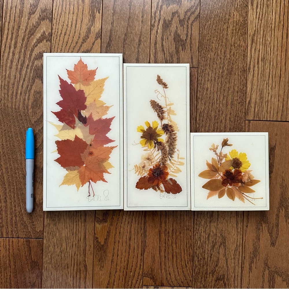 Vintage Henni original set of 3 handmade pressed flowers wall art pictures - Picture 2 of 10